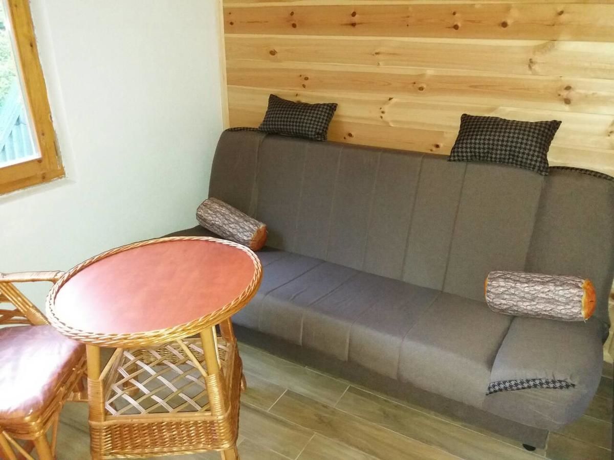 Загородные дома Vila Montana Dobrilovina-27