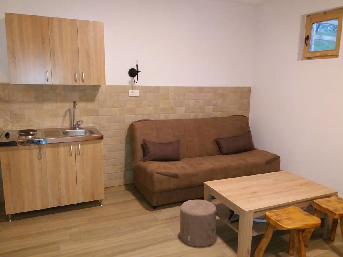 Загородные дома Vila Montana Dobrilovina-40