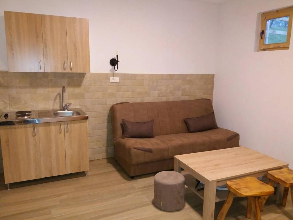 Загородные дома Vila Montana Dobrilovina-46