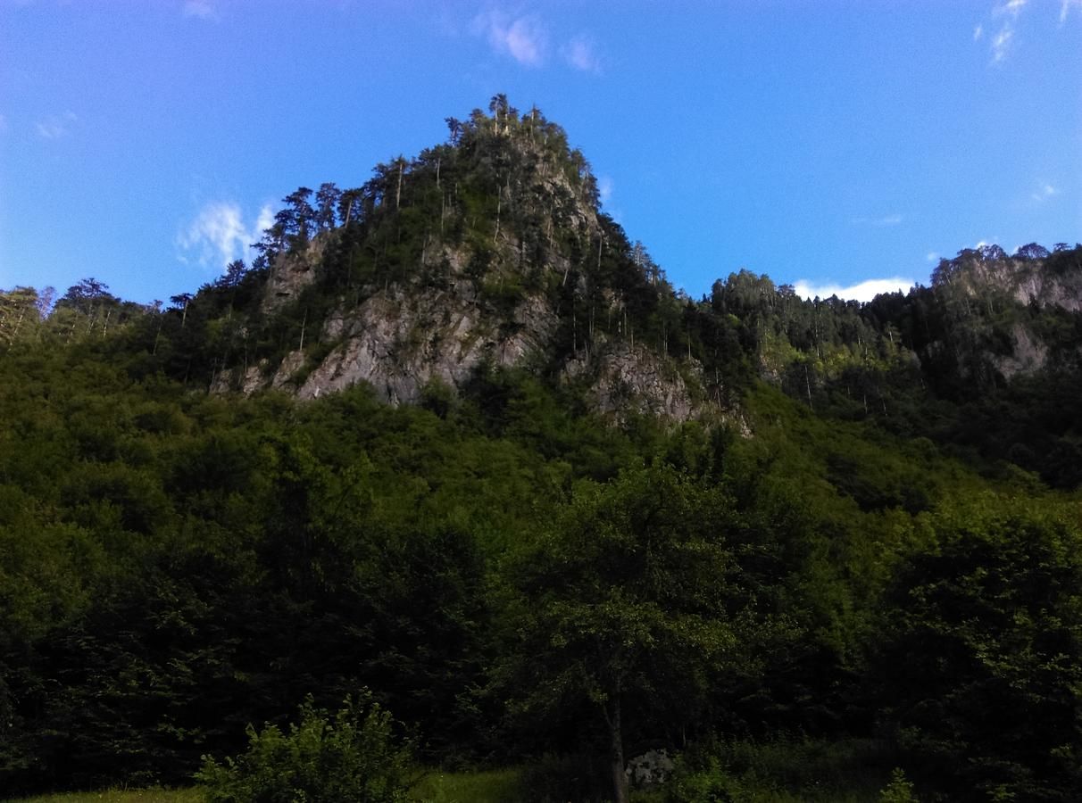 Загородные дома Vila Montana Dobrilovina-8