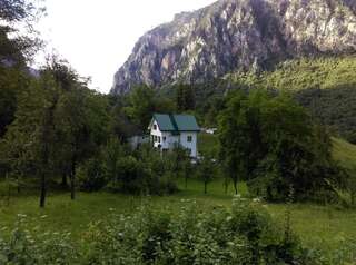 Загородные дома Vila Montana Dobrilovina-0