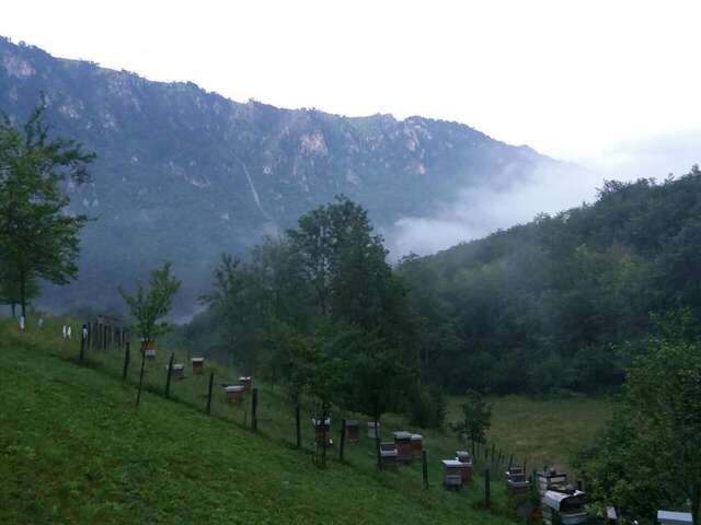 Загородные дома Vila Montana Dobrilovina-17