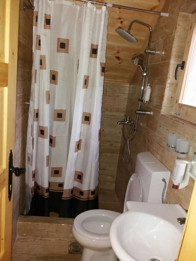 Загородные дома Vila Montana Dobrilovina-27