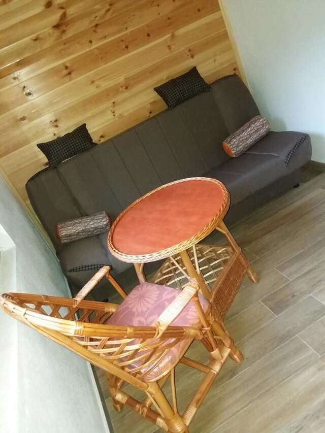 Загородные дома Vila Montana Dobrilovina-29