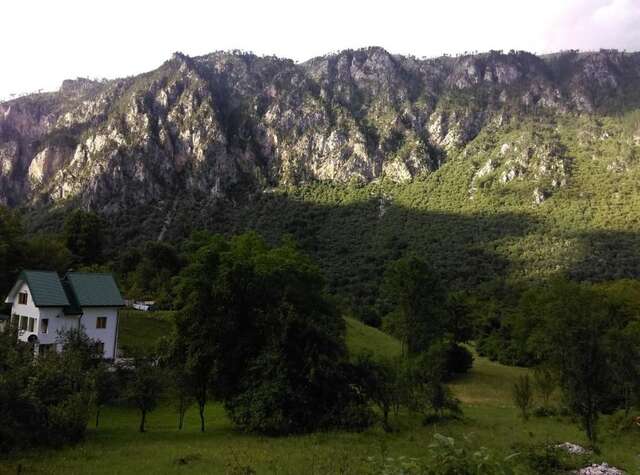 Загородные дома Vila Montana Dobrilovina-46